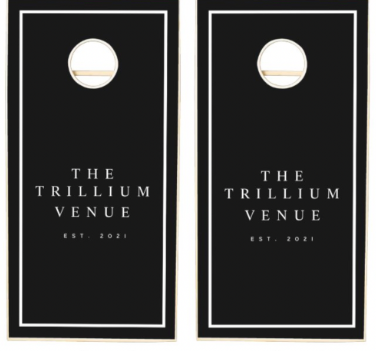 Corn Hole Board Sets