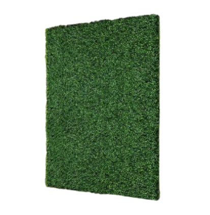 An accent wall featuring grass or greenery for a natural feel.